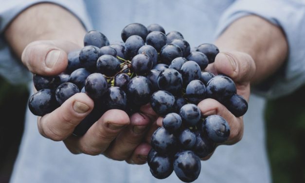 Consumption of Jamun in Summer Protects Against Many Diseases.