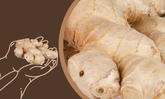 How to Treat and Use Ginger for Almost any Disease