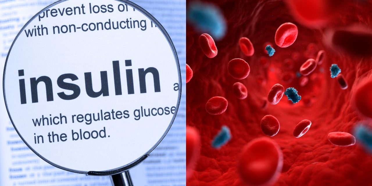 Insulin resistance and insulin resistance blog