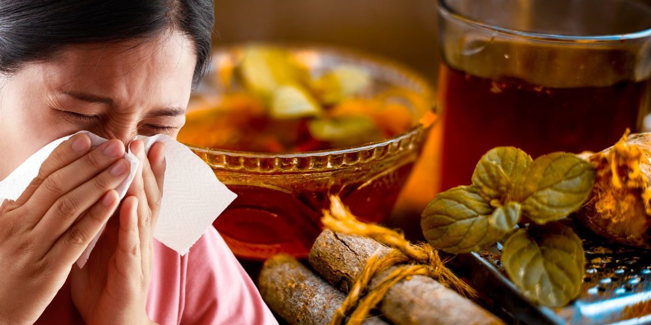Common Cold Disease and Best Treatment