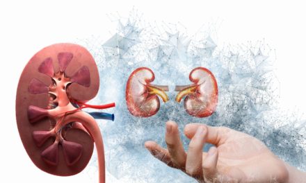 Kidney Dysfunction Disease and Best Treatment
