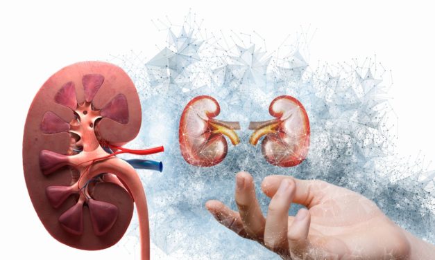 Kidney Dysfunction Disease and Best Treatment