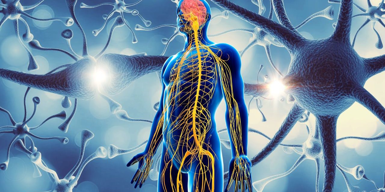 Better Understanding of Nervous System Disorders